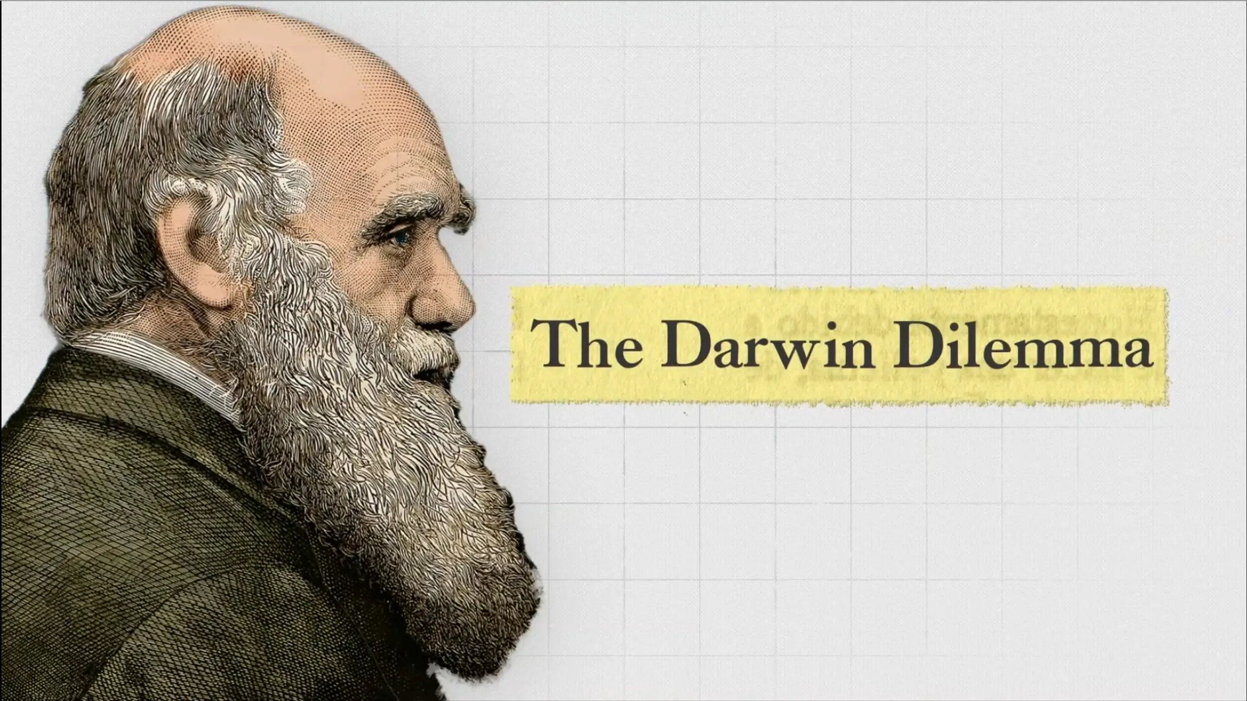Darwin Delima project still